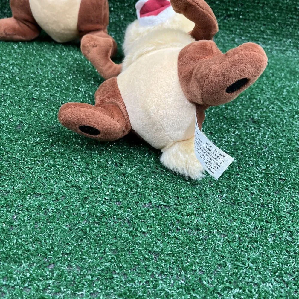 Disney Parks Chip and Dale 9